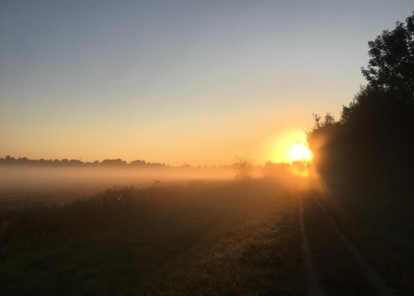 A beautiful sun rising on a misty morning, casting golden light across fields and trees.